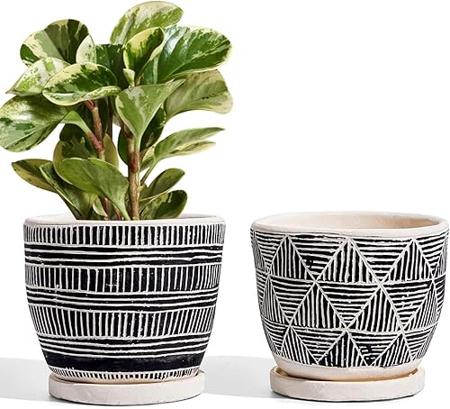 LE TAUCI Macetas bohemias de 5.5 pulgadas para interiores, macetas de cemento artesanal para plantas, macetas para suculentas con agujeros de