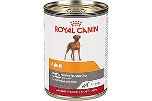 Royal Canin Canine Health Nutrition, Gastrointestinal Tract Dog Food In Gel Canned