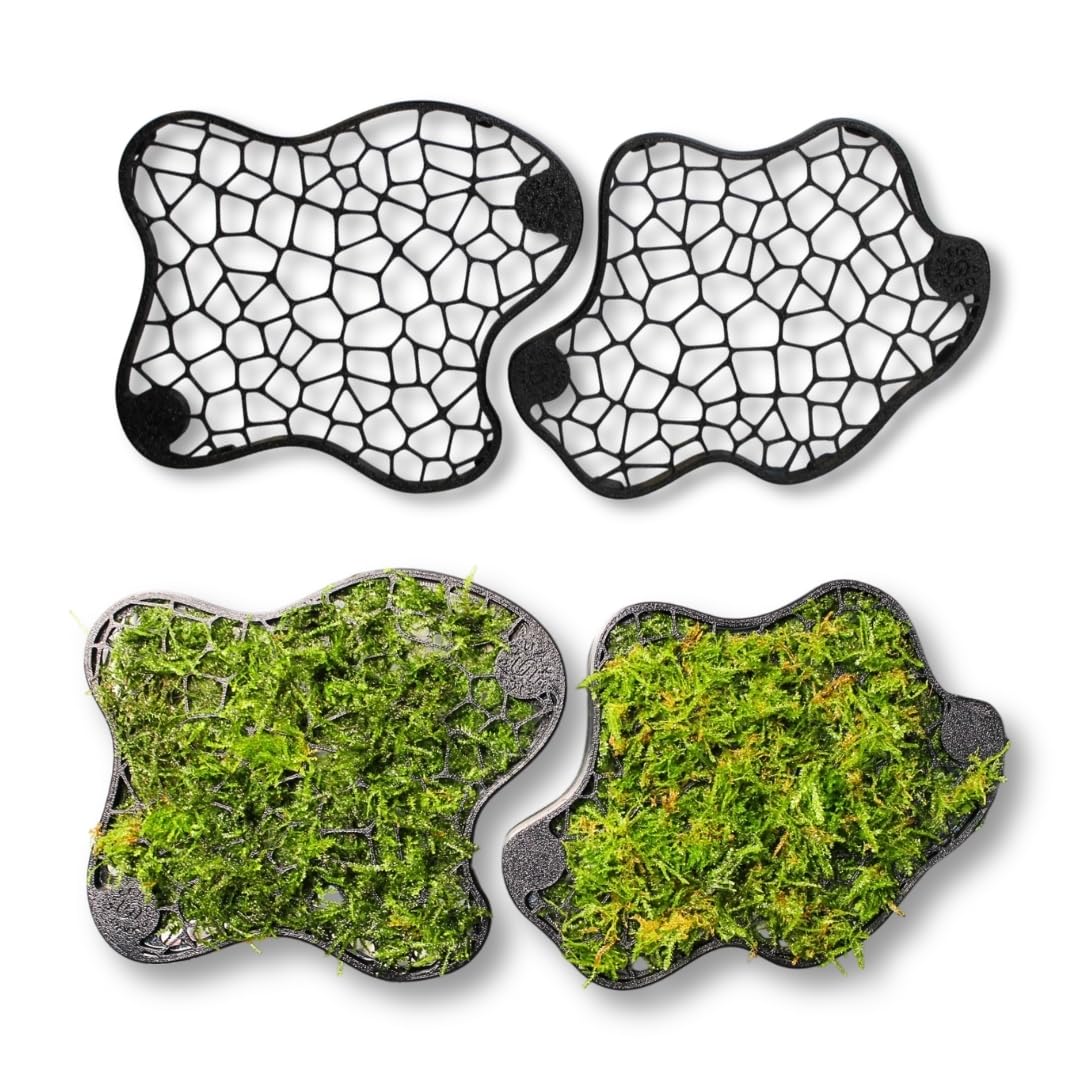 Generisch Mooswand 2er-Set Natural Edition - Aquarium Rückwand-Gitter zum Begrünen – Slim Design mit Saugnapf – für Moos & Aufsitzerpflanzen – Aquarium Pflanzen Zubehör (Saugnapf-Befestigung)
