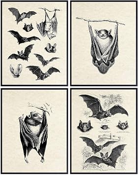 Bats Wall Decor - Bat Decorations - Bat Decor for Home - Creepy Gothic Wall Art - Goth Picture - Pagan Gifts - Gothic Artwork