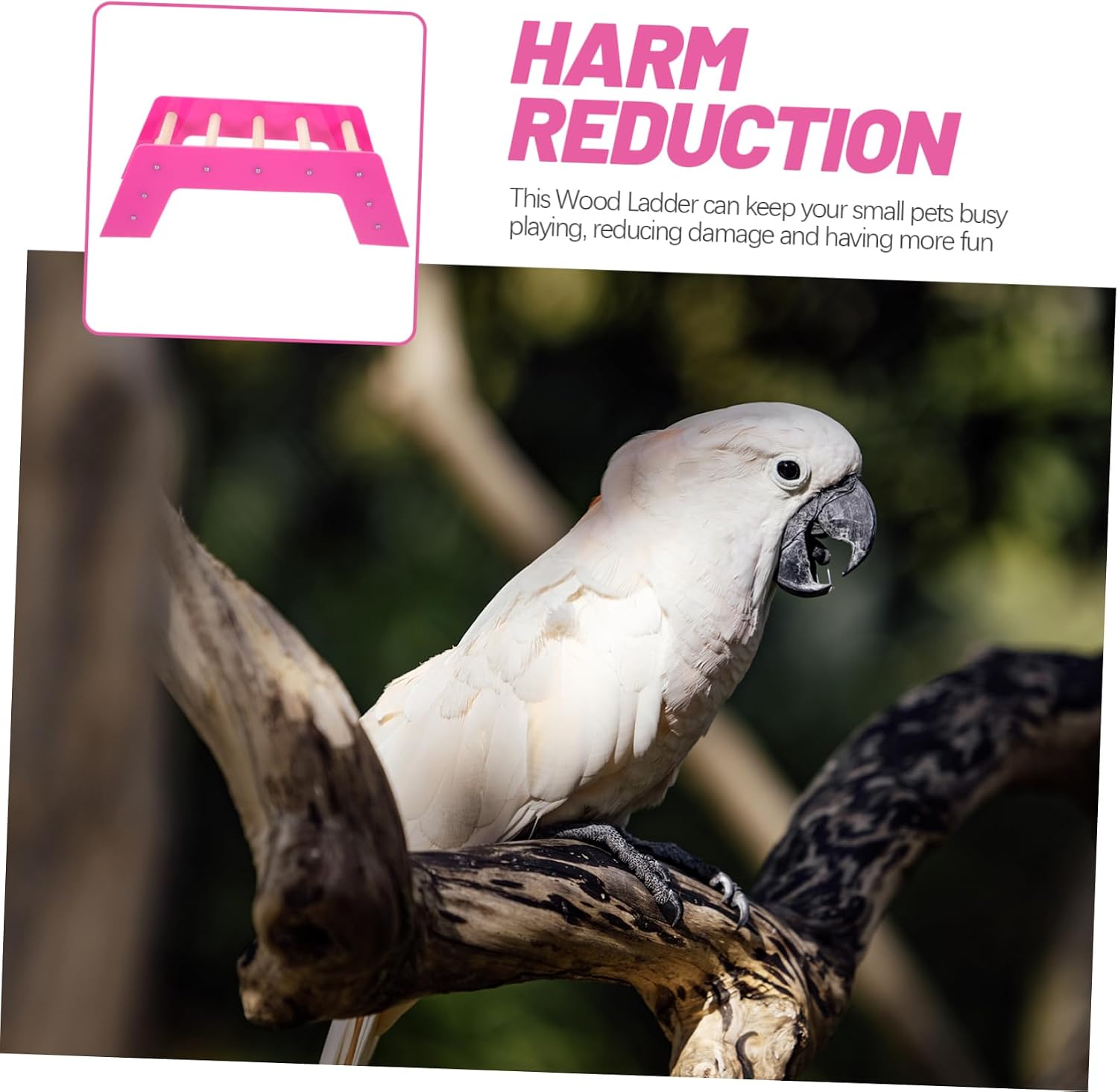 Happyyami Parrot Stair Slide Bird Toys Hamster Parrot Climbing Toy Bird Ladder Toy Wood Ladder Rat Ladder Toy Parrot Toy Rat Ladders Rat Toys Wooden Stick Purple Small Animals Chinchilla