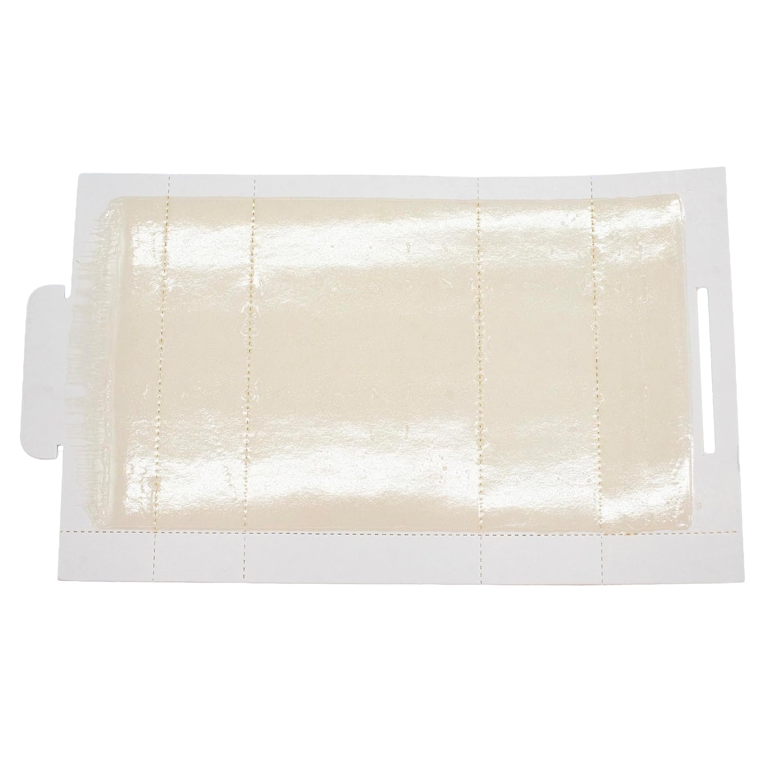 Pest Catchers Glue Board – 4.875" x 8.5" Adhesive Trap for Mice and Small Insects, Non-Toxic, Easy Cleanup, Indoor Use