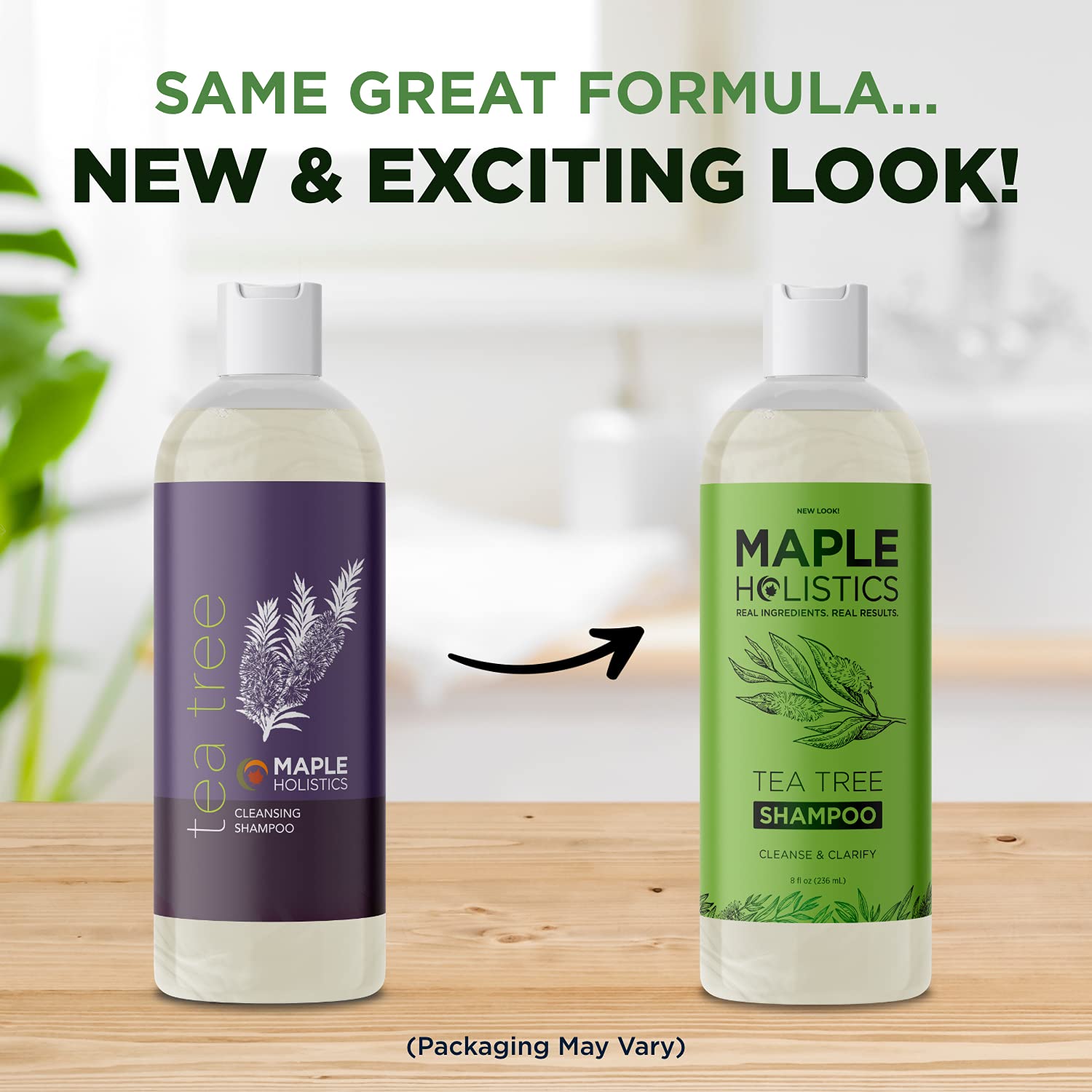 Tea Tree Oil Shampoo Sulfate Free Cleansing Tea Tree Shampoo Scalp