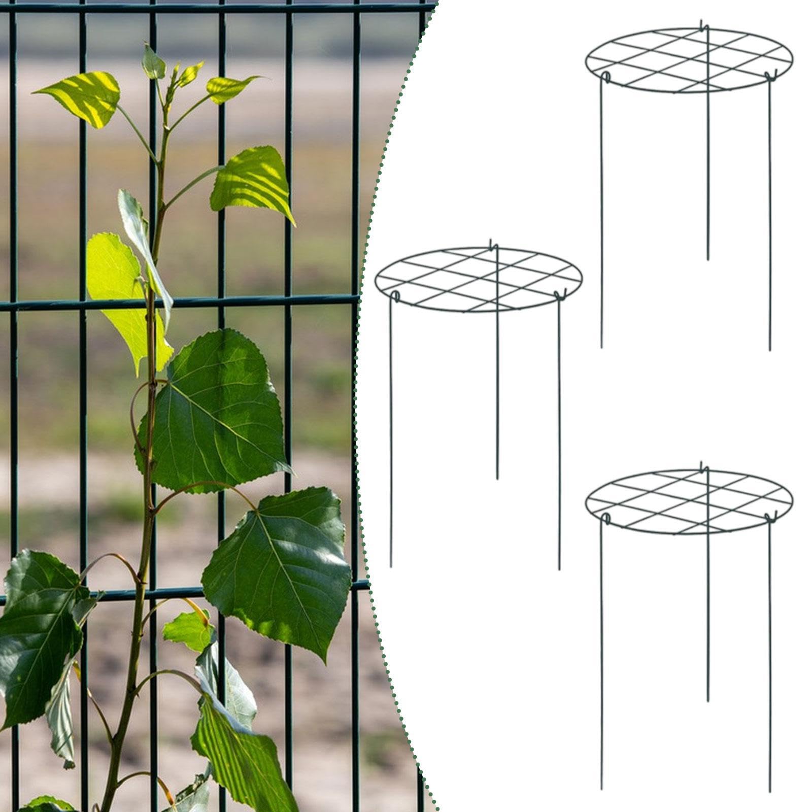 Lot de 3 Cages et Supports pour Pivoines, Tuteurs en Métal pour Plantes de Jardin, Pratiques pour La Croissance des Plantes D'extérieur et, Grille