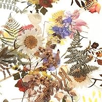 Vista 3 de Juego de calcomanías de plantas de flores (120 piezas) – Adhesivo decorativo transparente PET para álbumes de recortes, planificador de diario