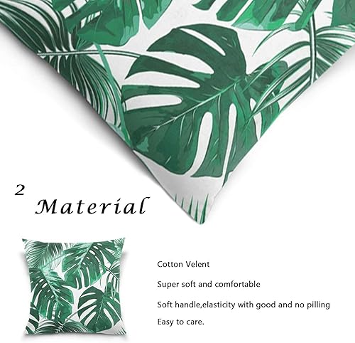 Miniatura 4 de ALAZA Fundas de almohada de terciopelo de algodón de 18 x 18 pulgadas con cremallera para almohadas decorativas