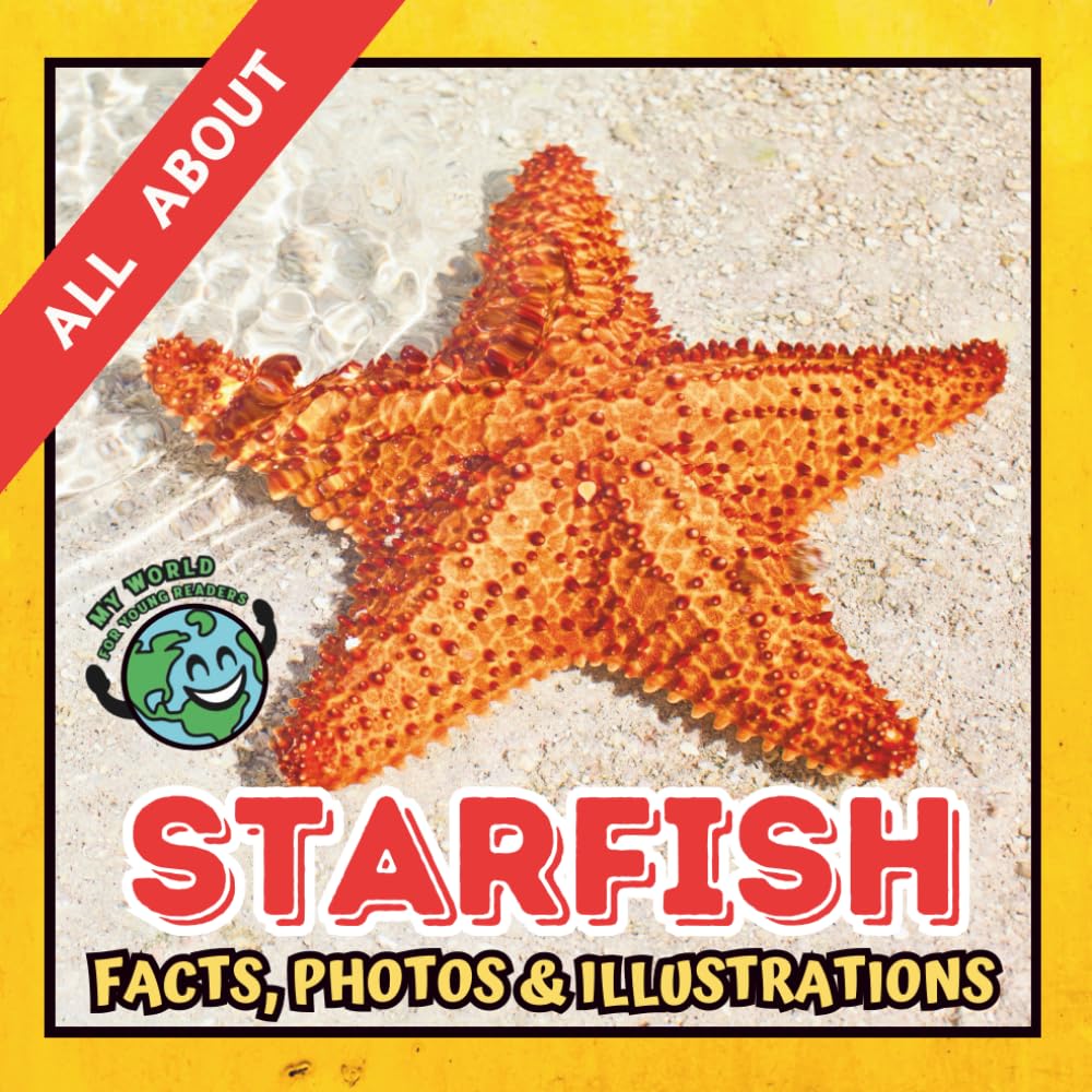 All about Starfish | Facts, Photos and Illustrations: A Picture Book for Curious Children | Screen-Free Infotainment (MY WORLD for YOUNG READERS)