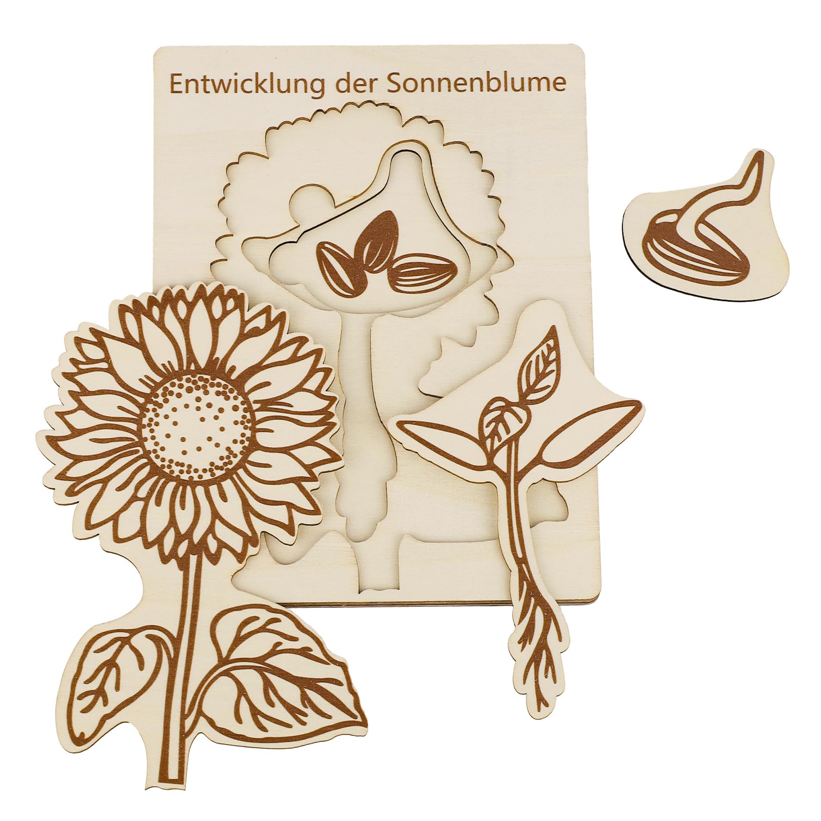 Puzzle du Cycle Vie Tournesol pour Enfants, Jouets Éducatifs en Bois, Apprentissage du Cycle Vie, 3-8 Ans