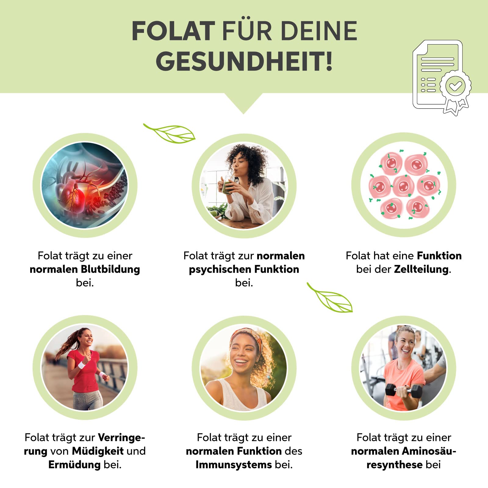 Weizengras Pulver gemahlen 1kg | Weizengras Pulver in Premium Rohkost-Qualität aus EU-Anbau | 100% rein ohne Zusätze