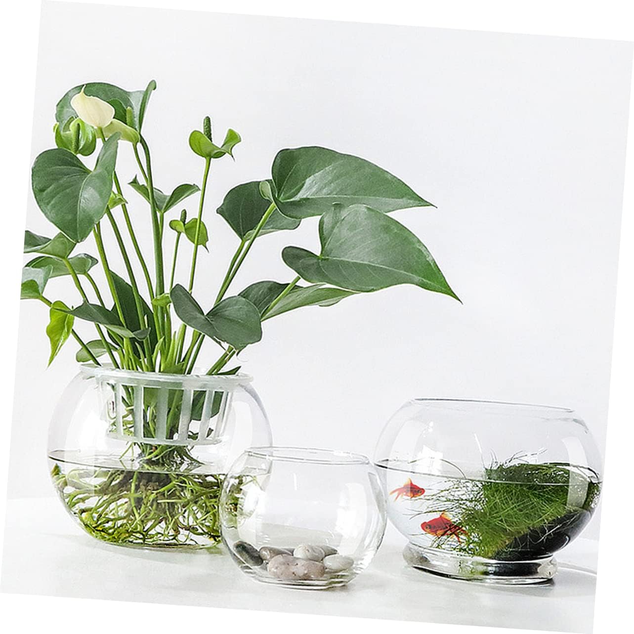 LIFKOME Hydroponics Flower Pot Creative Transparent Glass Vase Desktop Ornament for Home Office Hotel Decor Smooth for