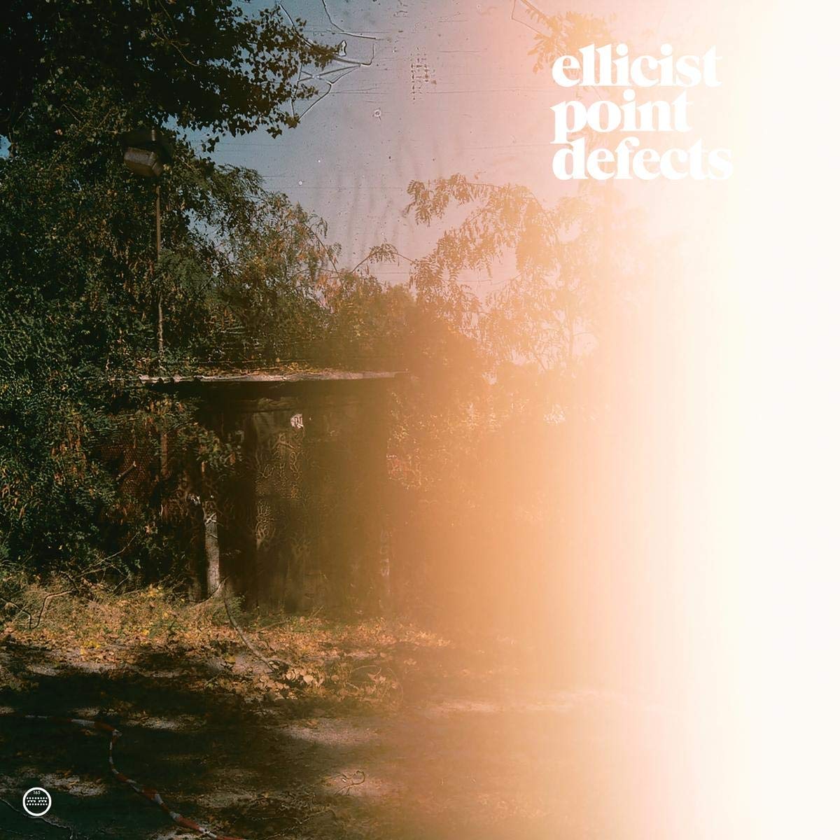 Point Defects [VINYL]