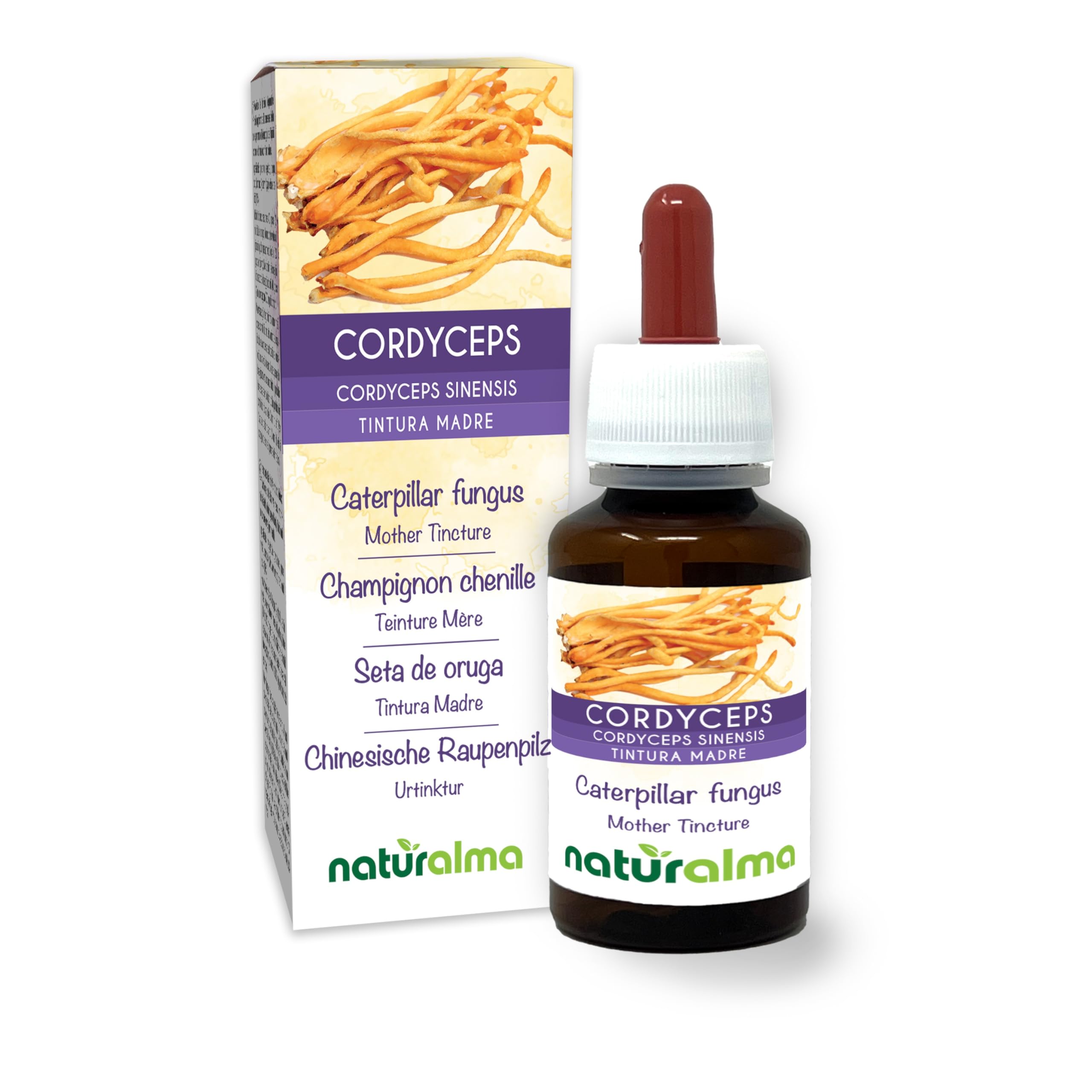 Cordyceps o Fungo bruco (Cordyceps sinensis o Ophiocordyceps sinensis) fungo Tintura Madre analcoolica Naturalma - Estratto liquido gocce 60 ml - Integratore alimentare - Vegano