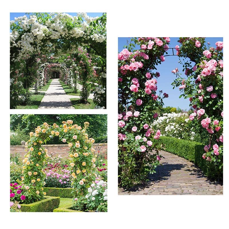 Supporte de grandes arches de mariage en métal contre le poids des plantes
