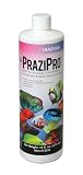 Aquarium Solutions® Liquid PraziPro® 16 o.z., Parasite Treatment for Aquarium Fish