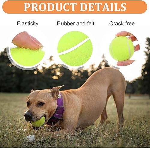 Miniatura 3 de DIVINA VITAE 20 pelotas de tenis pequeñas para perros, 2 pulgadas, coloridas mini pelotas de tenis para todos los lanzadores de pelotas de perro de