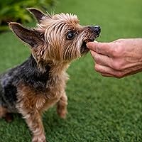 Vista 6 de Loving Pets Golosinas suaves para perros, bocadillos de carne auténtica de origen estadounidense para entrenamiento, cachorros y recompensa diaria