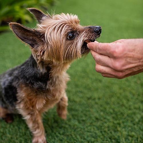 Miniatura 6 de Loving Pets - Cecina suave para masticar (receta de pollo, tocino y queso) Golosinas para perros fabricadas en Estados Unidos