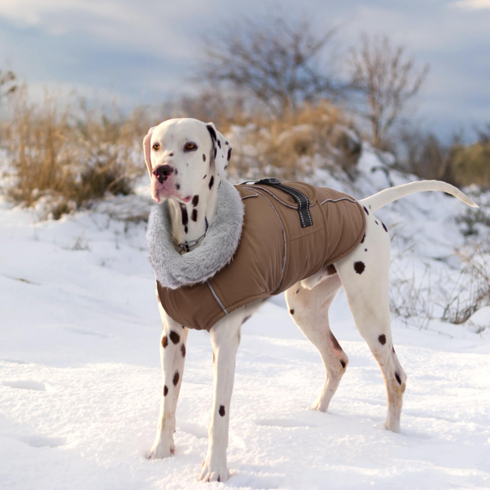 Lelepet Manteaux et vestes chauds pour chiens, manteau d'hiver imperméable pour chien par temps froid, veste matelassée réfléchissante pour chien, manteau pour animal de compagnie avec doublure