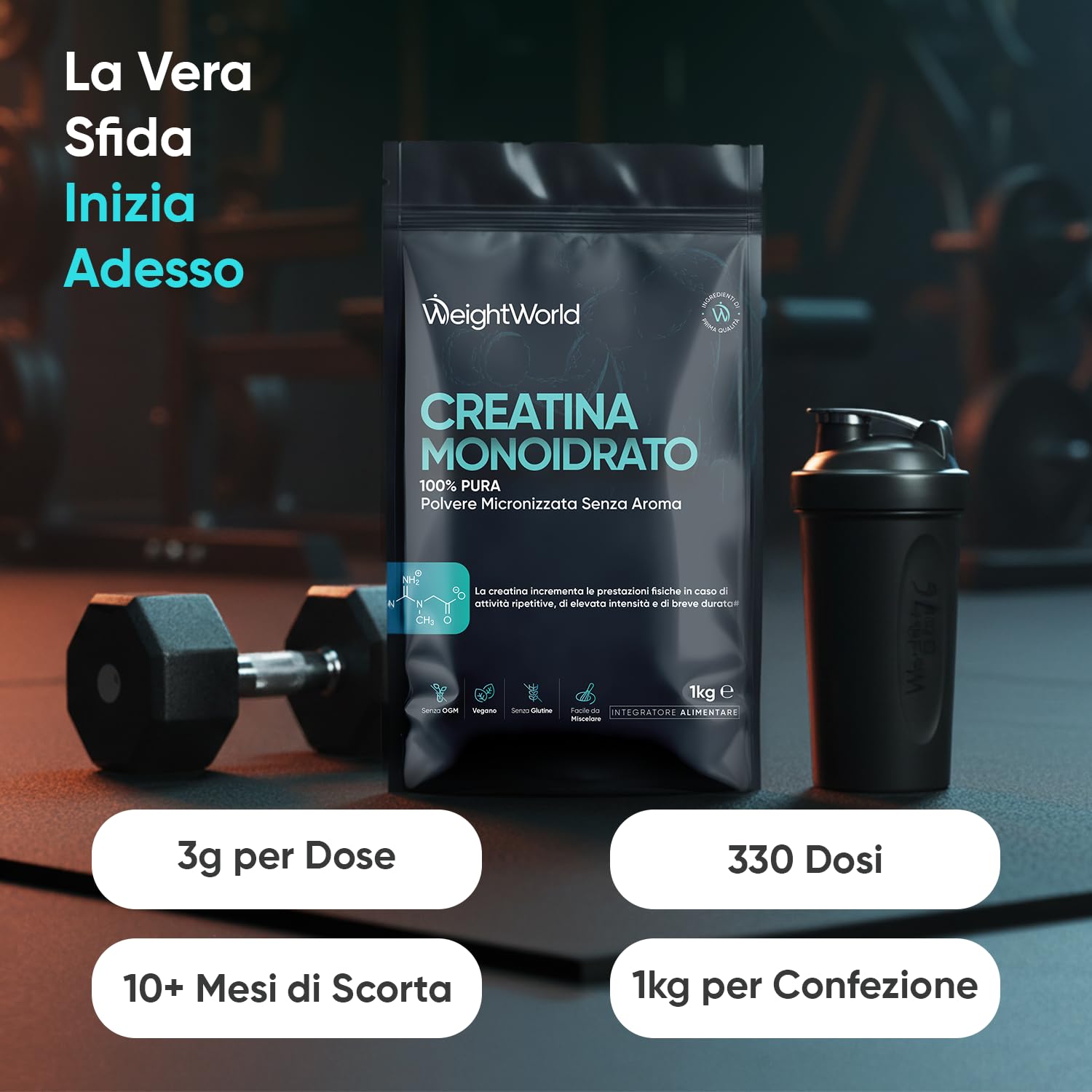 Creatina Monoidrata in Polvere da 1kg, 3000mg, 330 Dosi, Fattore di Maglia 200, Formula 100% Pura e Vegana, Creatina in Polvere Micronizzata con Misurino, Pre Workout e Post Workout, Senza Glutine