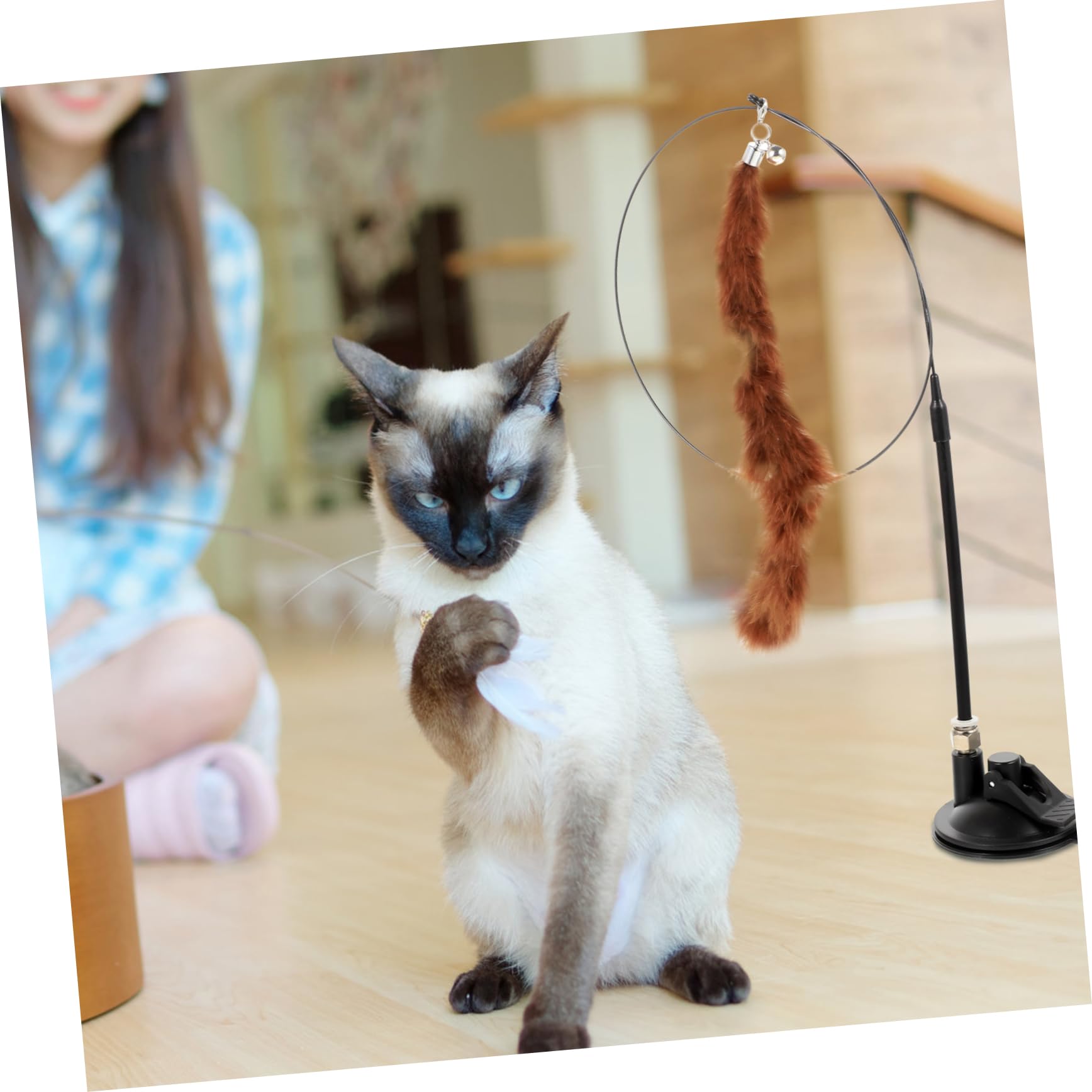 VANZACK 24stücke Teiliges Interaktive Katzenangel Mit Saugnapf Federteaser Und Glöckchen Spielzeug Aktivität Und Für Katzen