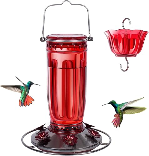 Kingsyard Comedero de vidrio para colibríes para exteriores, comedero para pájaros silvestres con 6 puertos de alimentación para colgar para patio