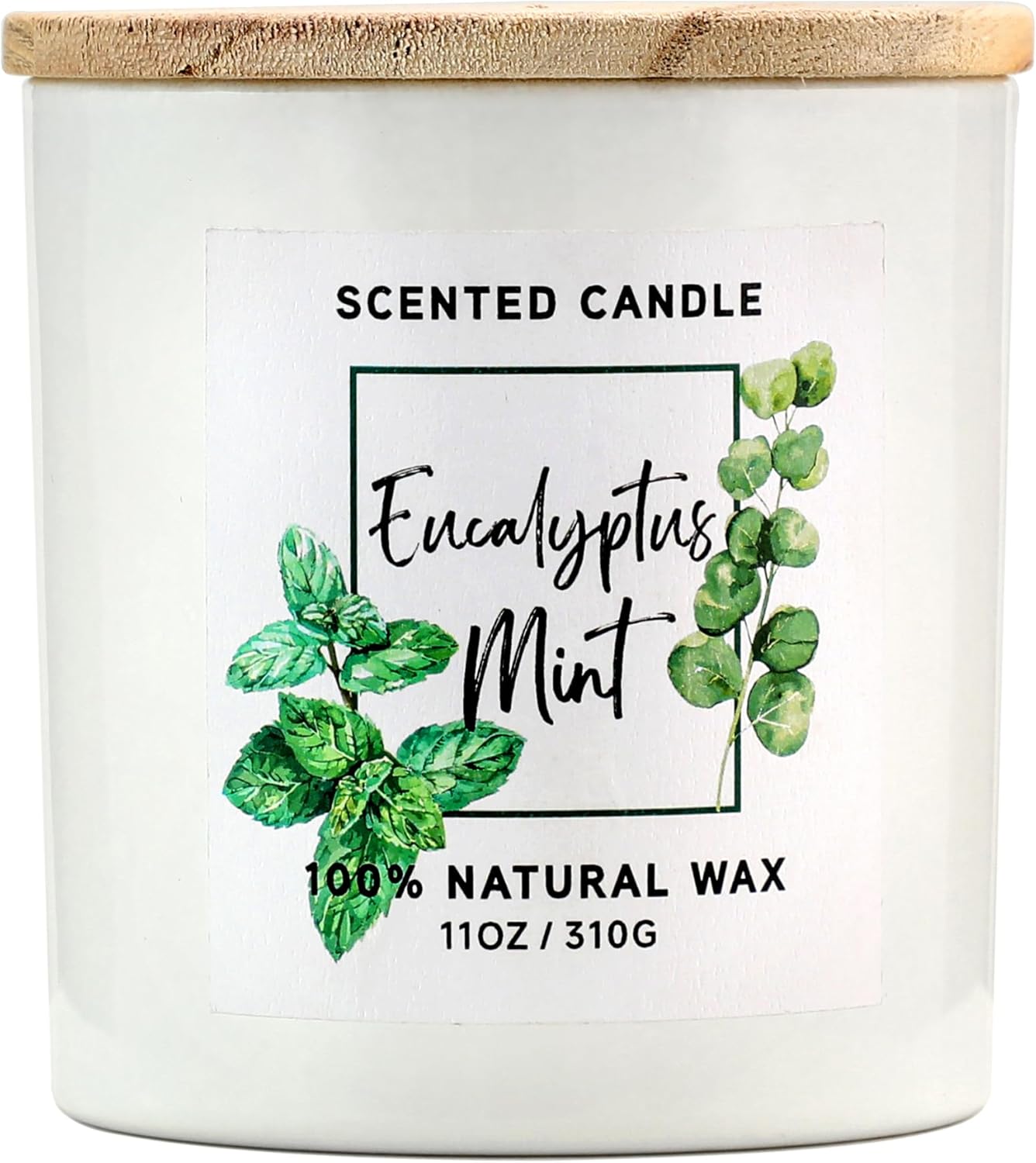 Eucalyptus & Mint Candle,White Candles for Home Scented,Aromatherapy Candle,Stress Relief Candle Gift for Women Men,Natural Soy Wax Candle,11oz