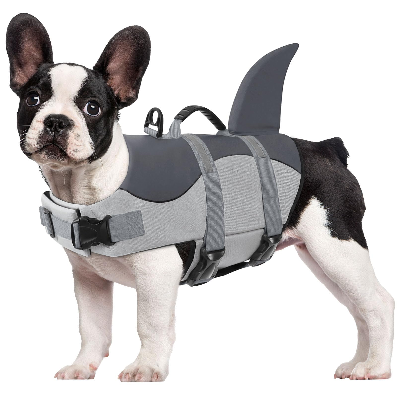 CITÉTOILE Hund Schwimmweste Hai für Kleine Mittlere und Große Hunde