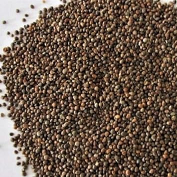 Plum Dragon Zi Su Zi, Perilla - Traditional Chinese Herb - 1 Oz