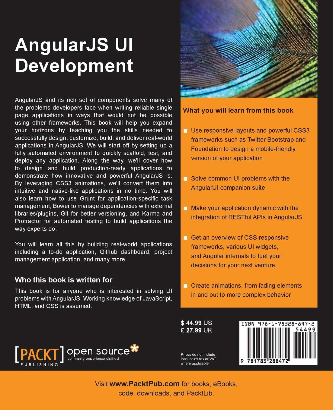 AngularJS UI Development (English Edition)
