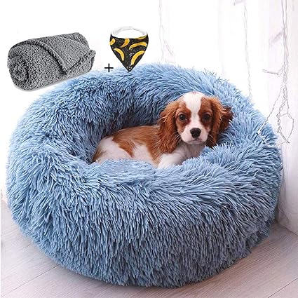 dog bed cushions