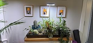 Review Image by Smith Smith