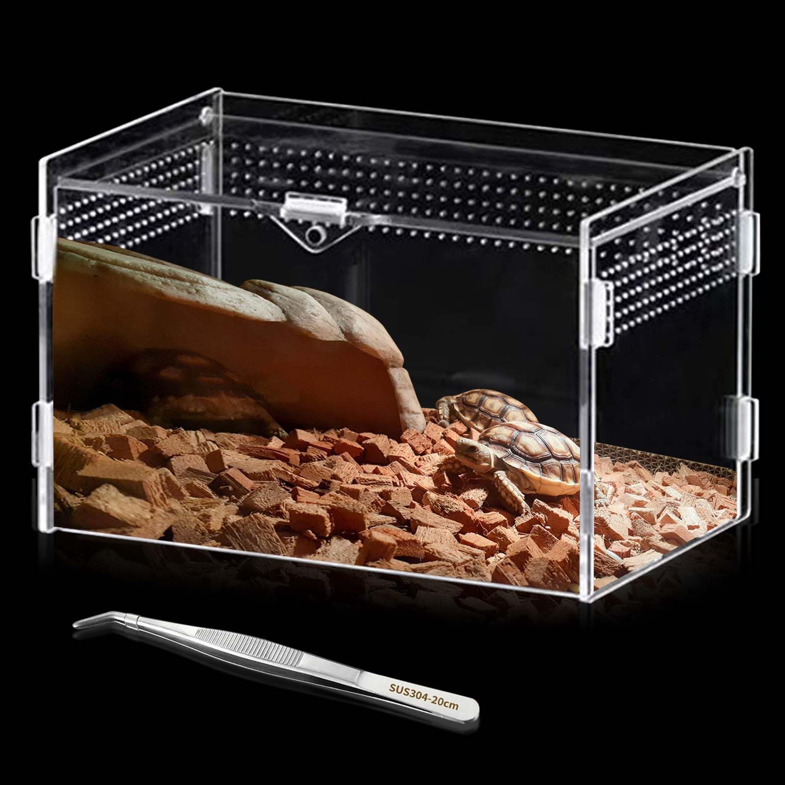 Boîte d'alimentation pour reptiles en acrylique - 20 x 12 x 12 cm - Mini terrarium transparent - Avec tweezer en acier inoxydable - Transparence totale à 360 ° - Pour petits reptiles et araignées