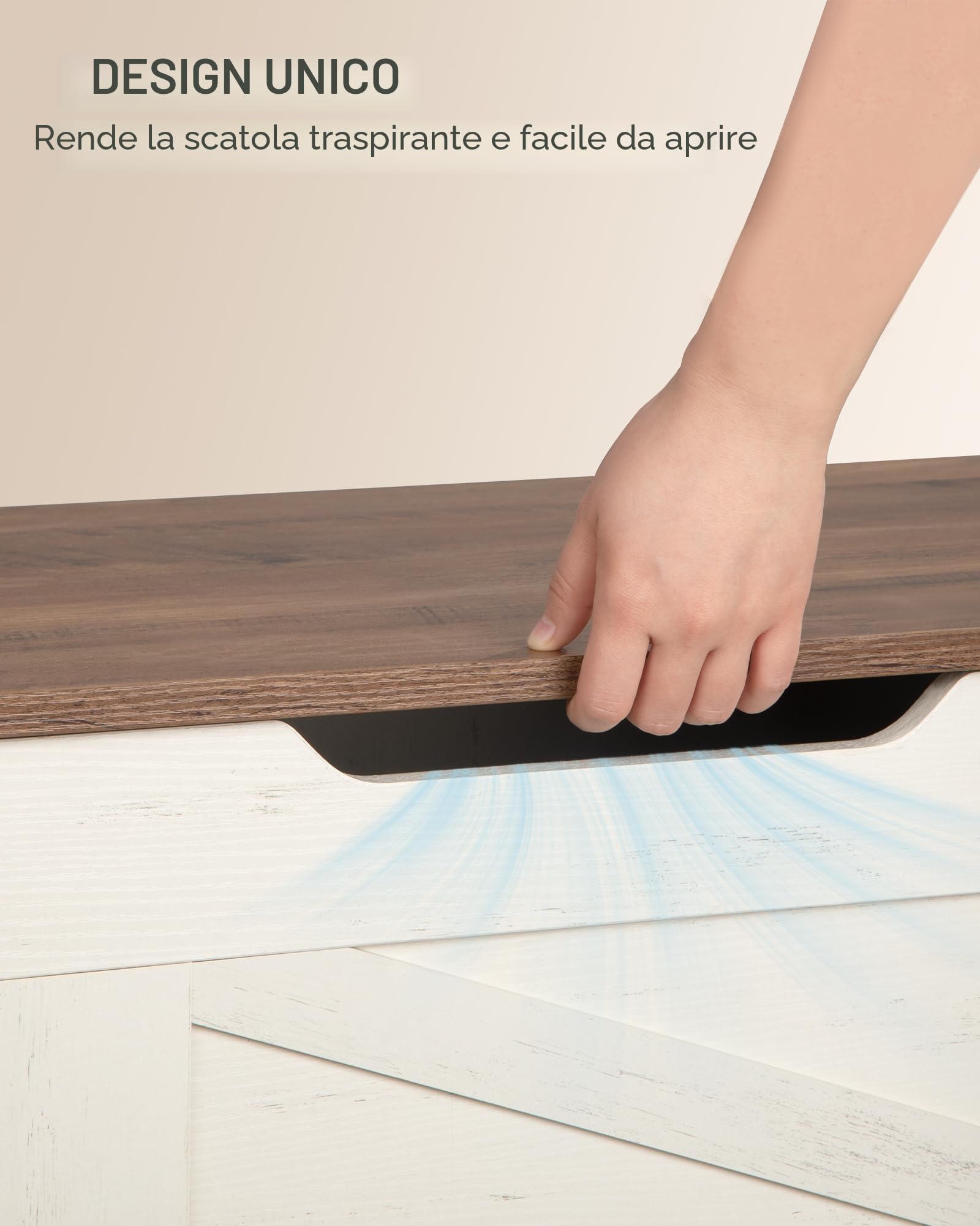 Hzuaneri Cassapanca 100 cm, Cassa Porta Oggetti, Cassapanca Contenitore da Interno, 2 Cerniere, per Ingresso, Camera da Letto, Soggiorno, Bianco Marrone SB03414X