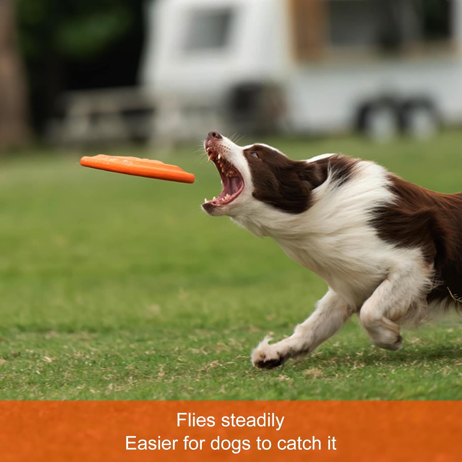 NAITELI Flyer-Durable Dog Flying Discs-Safer Dog Toy for Fetch(Orange,L) | 9.25-inch | For Medium & Large Dogs | Flying Steadily | Soft and safe on teeth | Floats in Water
