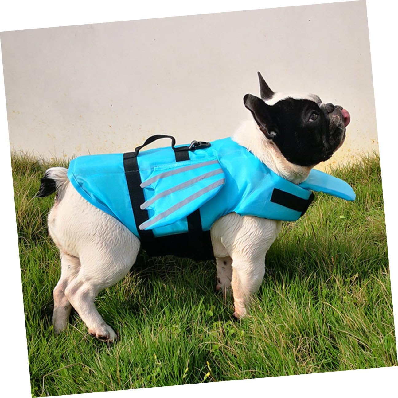 Abaodam Reflective Dog Swimsuit Life Jacket with Wings, Wear-Resistant Breathable Vest for Outdoor Swimming, Blue M Size Pet Accessory for Safety and Rescue