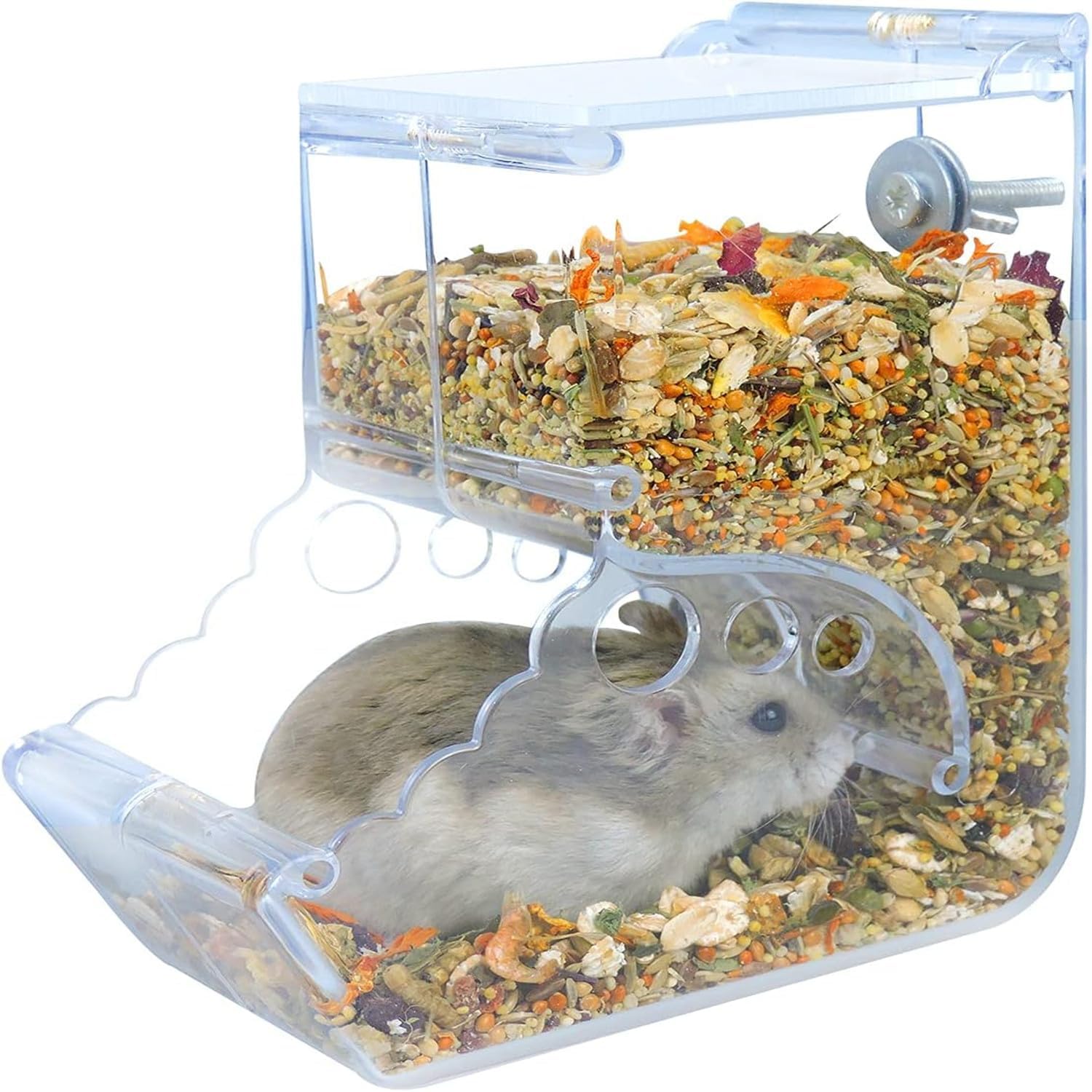 Mtxorvix 400ML Hamster Auto Feeder, Automatic Dispenser for Dwarf ...