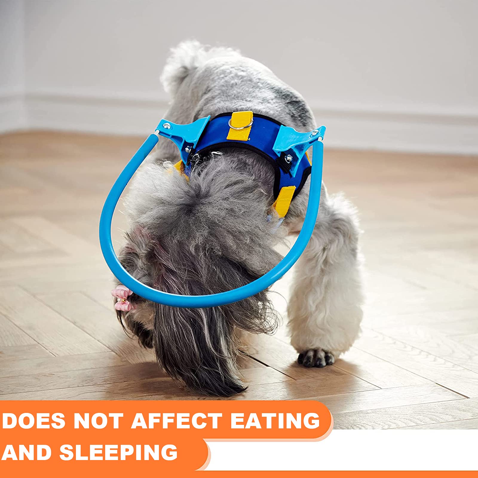 Arnés Protector Para Perros Ciegos: Collar De Seguridad Ajustable Con Anillo Protector, Ideal Para Perros Con Discapacidad Visual O Mayores