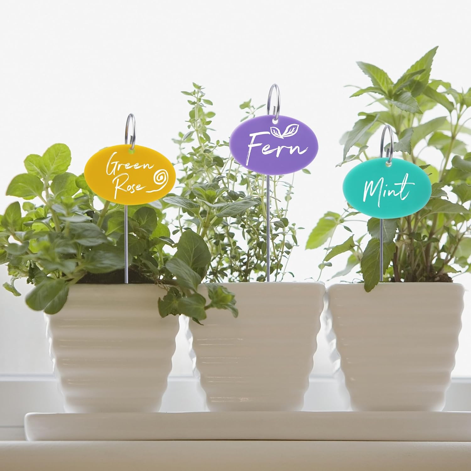 Temlum Plant Labels With Marker Pen, 25 Pcs Garden Markers Label Stakes Sign Tags for Outdoor Plants, Flowers, Herbs, Seed (Multicolor) - Image 6