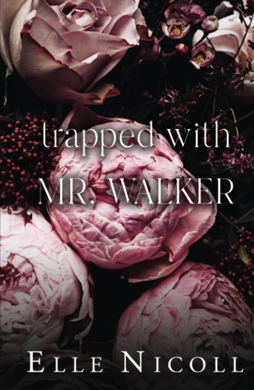 Trapped with Mr. Walker: A fake dating steamy romance (The Men Series - Interconnected Standalone Romances)
