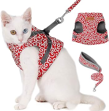 cat harness amazon