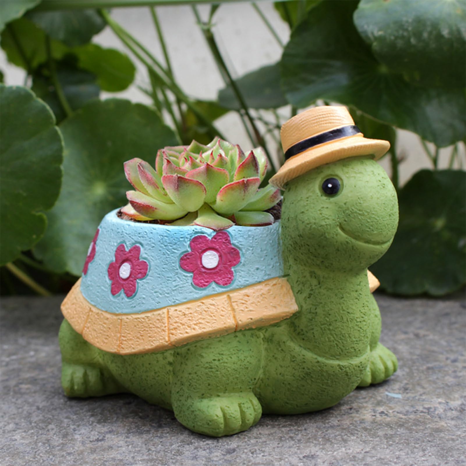 Grovind Vasi per piante grasse, fioriera per tartarughe con foro di drenaggio, graziosi vasi per cactus, fioriere per piante grasse per piante da interno, casa, ufficio, giardino, vaso da fiori regalo