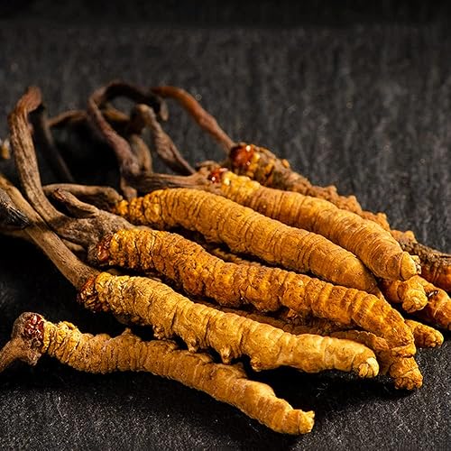 Cordyceps Sinensis 100% Dong Chong Xia Cao Wild Whole Himalayan Sinensis, Cordyceps 100%, Cordyceps Orgánico de Tíbet (0.23 oz), 1.0 unidades, 0.16