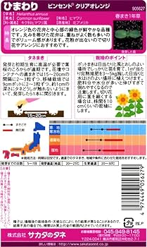 Amazon | サカタのタネ 実咲花5627 ひまわり ビンセント クリア