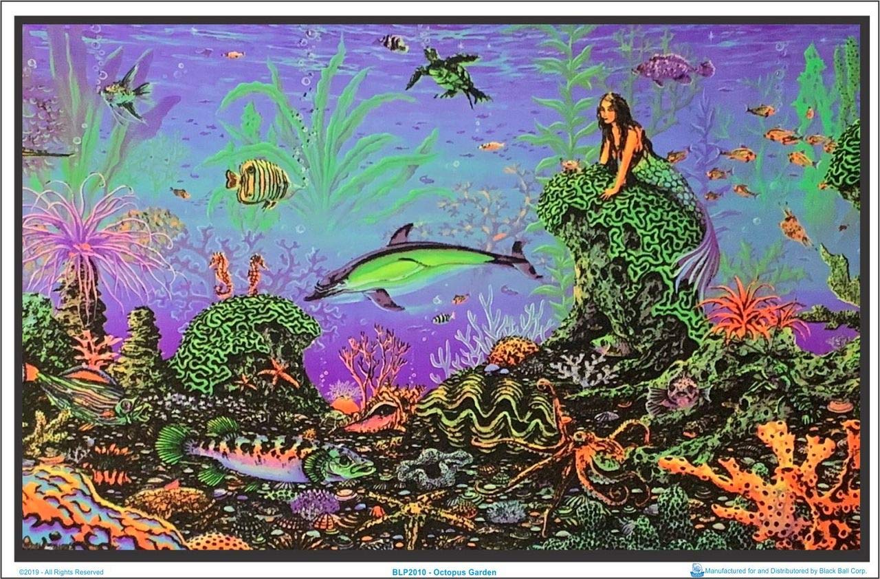デッドオアアライブ ビッグ 布ポスター Night(みさき) Amazon.com: Octopus Garden by Michael Fishel - Laminated