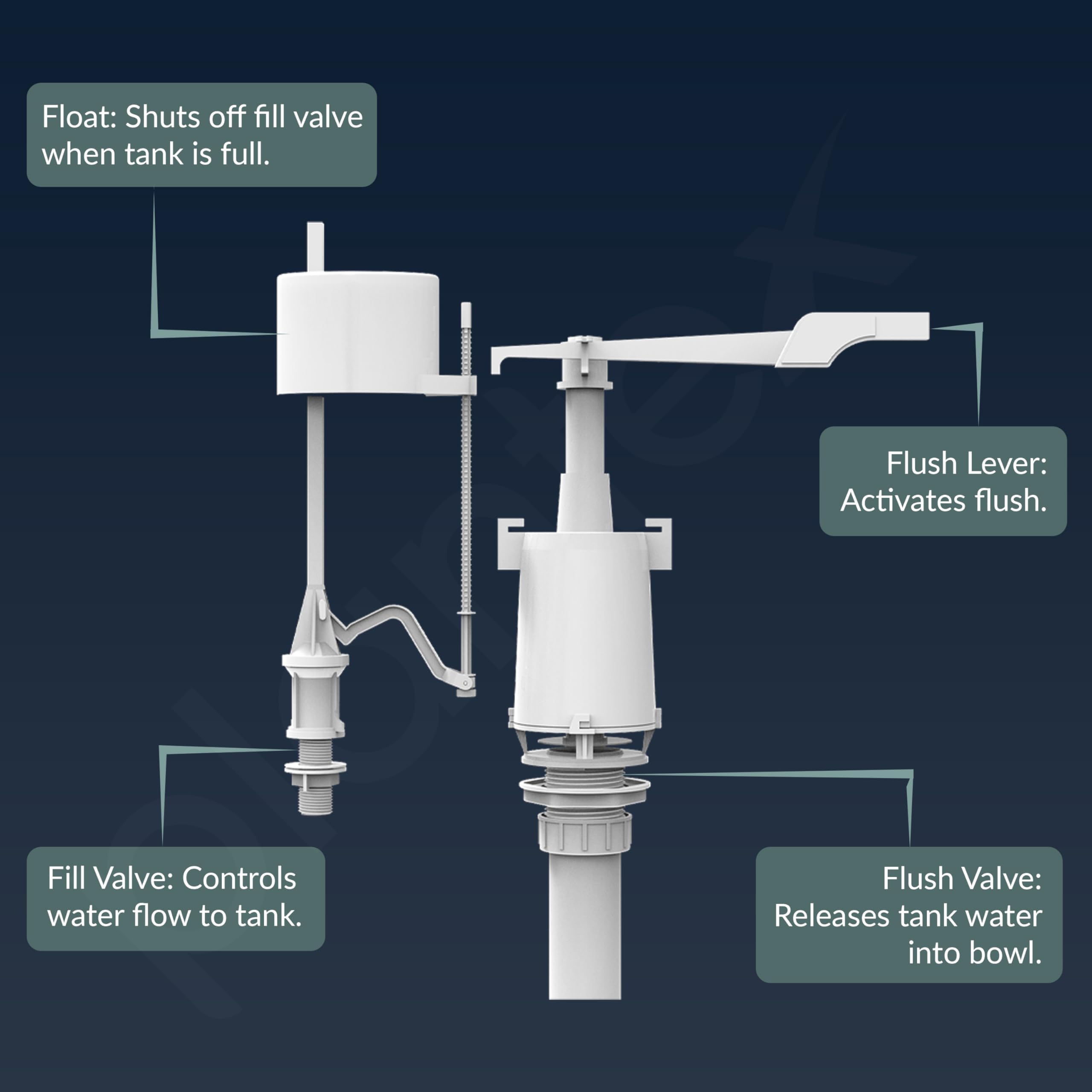 Plantex Flush Tank for Toilet/Single Flushing Cistern for Bathroom with 10 Ltr Water Capacity/Polypropylene Toilet Flush Tank - Pack of 1 (Classic, White) 4