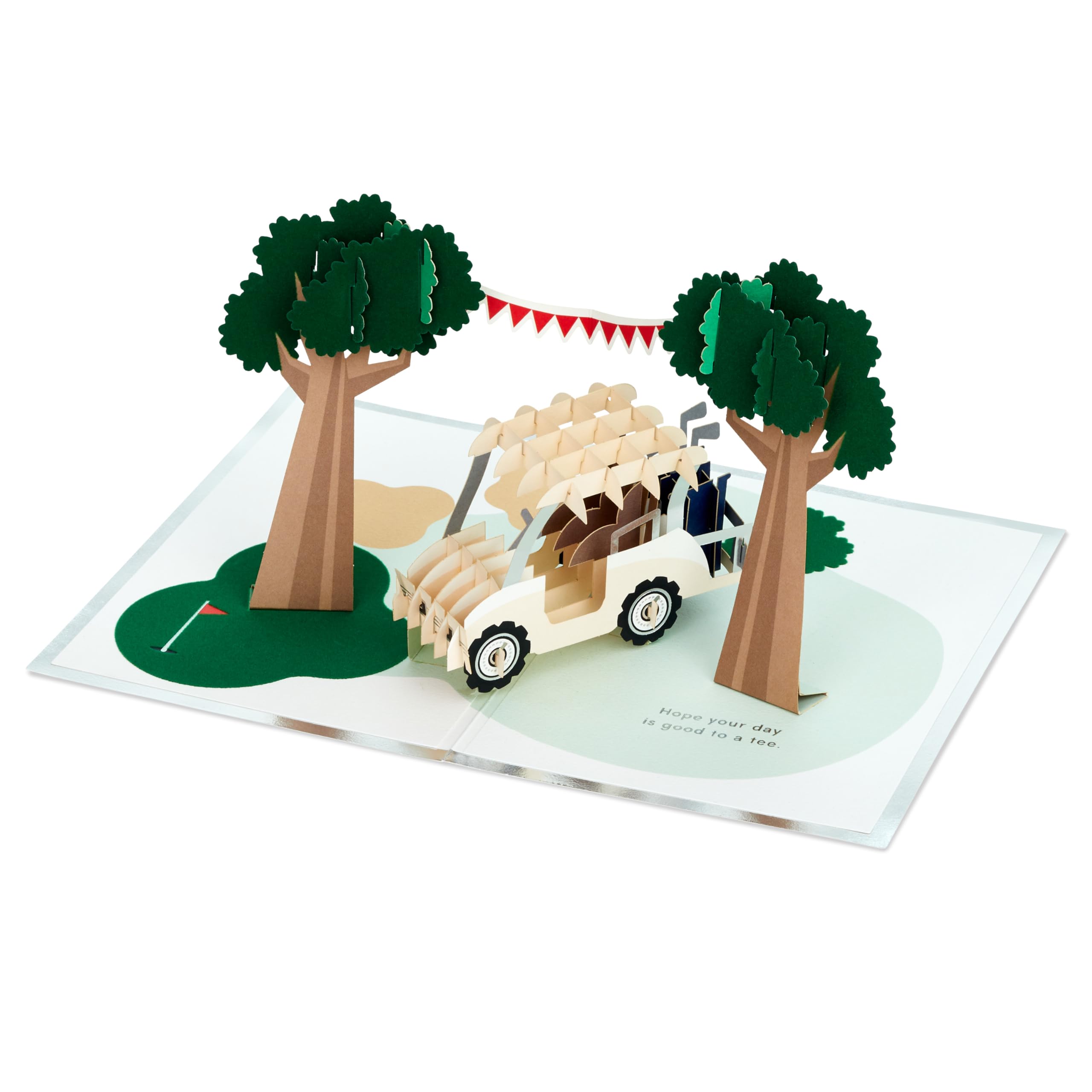 Hallmark Fathers Day 3D Pop Up Golf Course Card, Blue/Green, Model 25595437