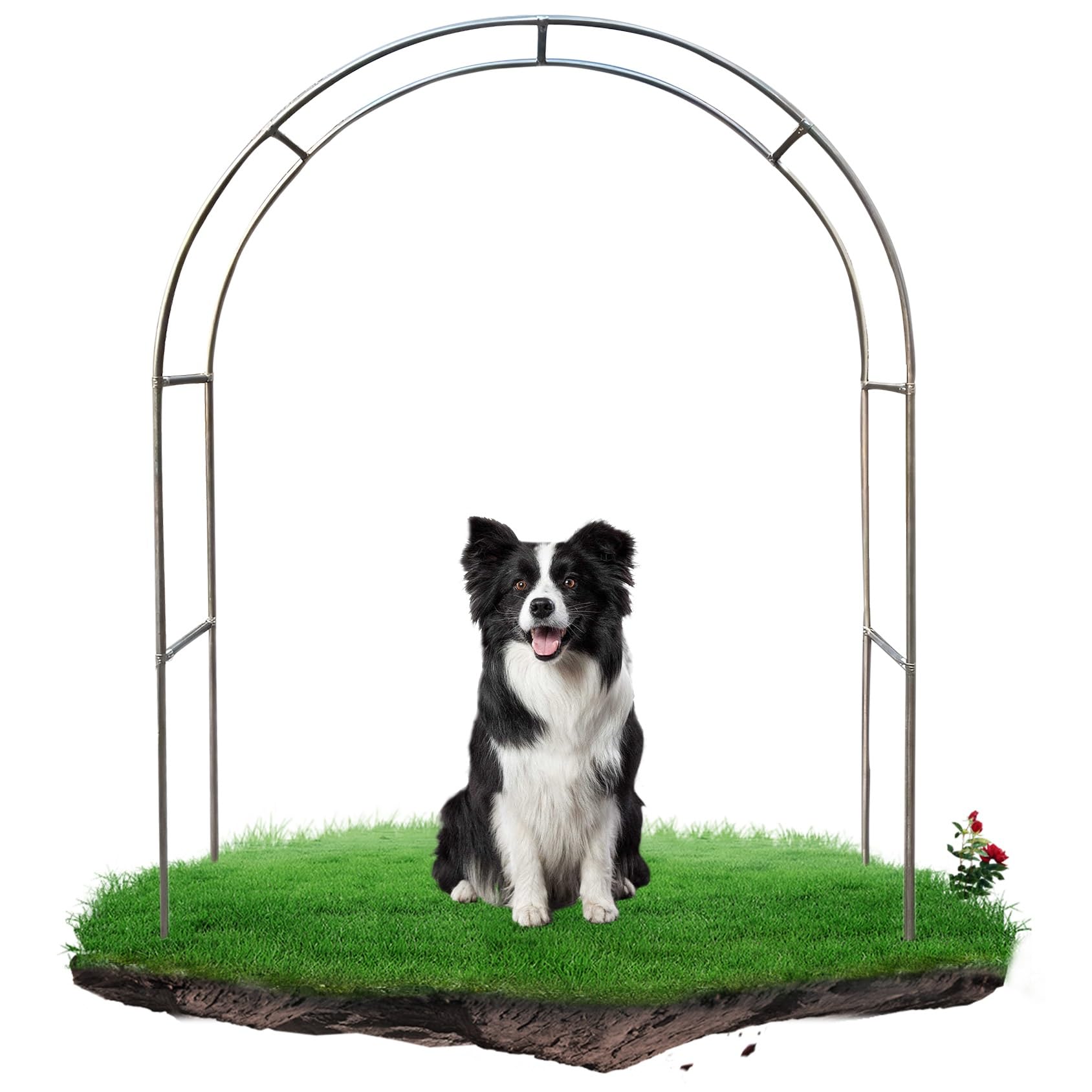 Stainless Steel Garden Arch Free Standing Garden Arbor Trellis 1.2/1.5/1.8/2/2.2/2.4/2.6/2.8/3/3.2/3.5/4/4.5/5m Wide Wedding Arch(Color:19mm,Size:1.5 * 2.4m(4.9 * 7.9ft))