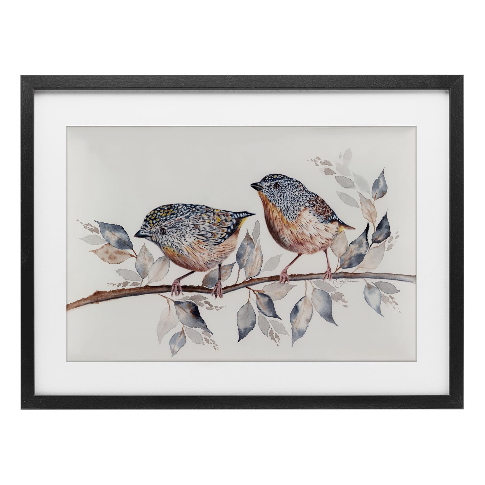 Stupell Industries Speckled Bird Pair on Branch Birch Framed Print Under Glass, design by Cady Driver, 14 x 20