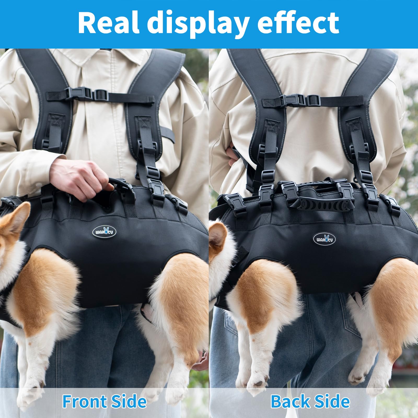 Harnais de Levage pour Chien, Sangle de Soutien et de rééducation, Sangles réglables rembourrées et Respirantes pour Chiens, handicapés, blessures articulaires, arthrite, Perte de stabilité pour