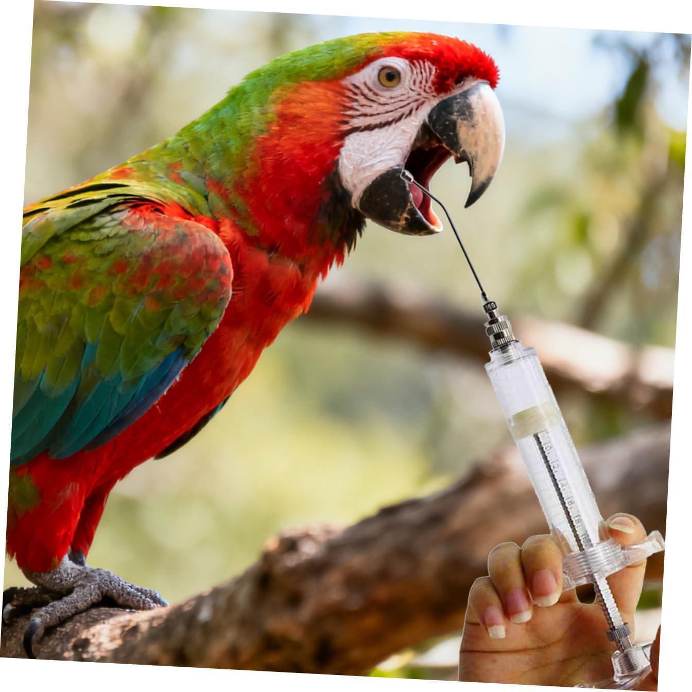 Professional Bird Feeding with Safe Liquid Feeder Tool for Parrots and Birds Calibrated Tube for Accurate Hand Feeding and Medication Administration